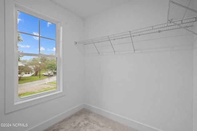 walk in closet featuring carpet floors