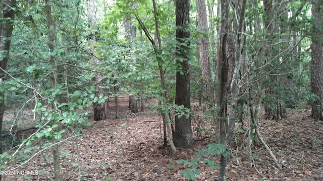 Listing photo 2 for LOT106 Palomino Rd Unit 106, Carthage NC 28327