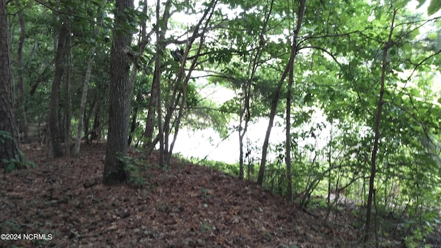 Listing photo 3 for LOT106 Palomino Rd Unit 106, Carthage NC 28327