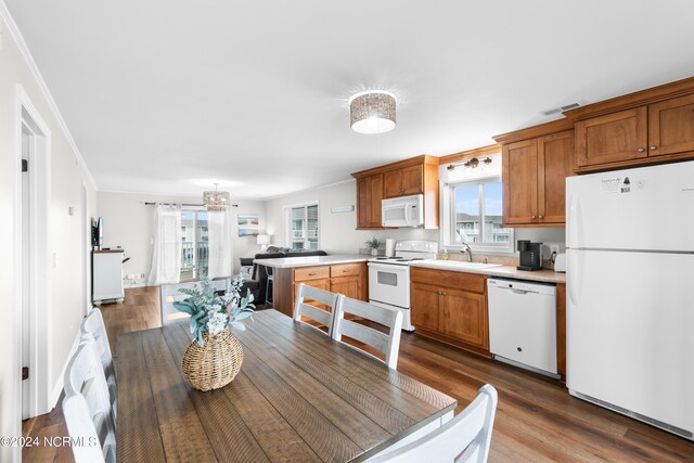 kitchen with a healthy amount of sunlight, dark hardwood / wood-style flooring, white appliances, and ornamental molding