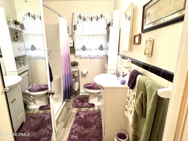 full bathroom with shower / bathtub combination with curtain, vanity, and toilet