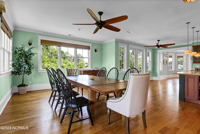 dining space with ceiling fan, ornamental molding, and light hardwood / wood-style floors