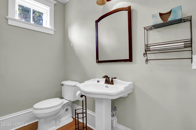 bathroom with hardwood / wood-style flooring and toilet