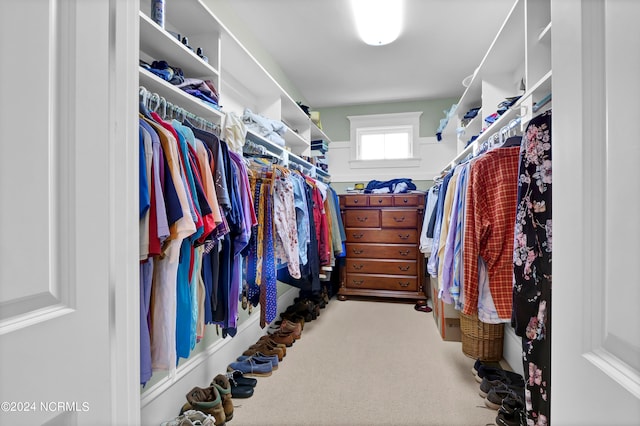 spacious closet with carpet flooring