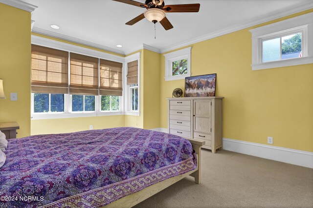 carpeted bedroom with crown molding, ceiling fan, and multiple windows