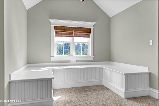 spare room featuring lofted ceiling and carpet floors