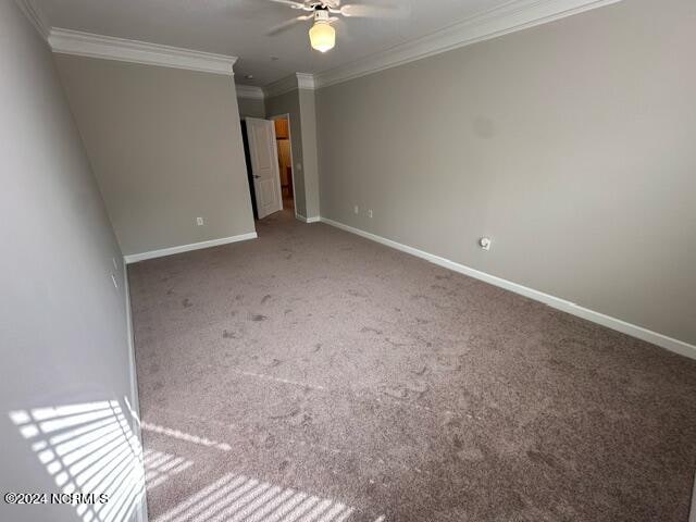 unfurnished room with ceiling fan, carpet floors, and ornamental molding