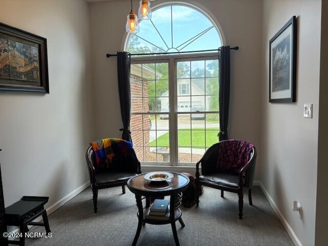 living area featuring carpet flooring and plenty of natural light