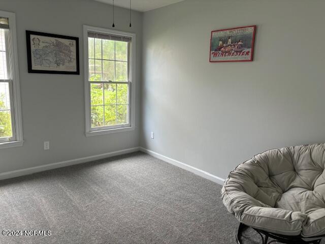 living area with a healthy amount of sunlight and carpet