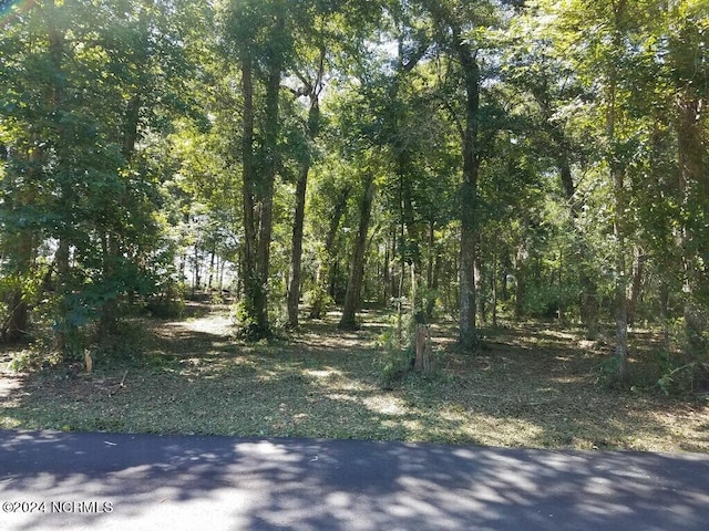 L-2 Schuyler Dr SW Unit 2, Calabash NC, 28467 land for sale