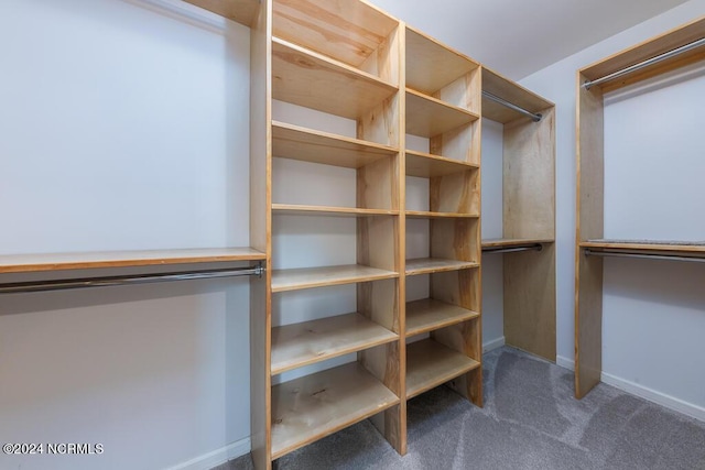 walk in closet featuring dark colored carpet