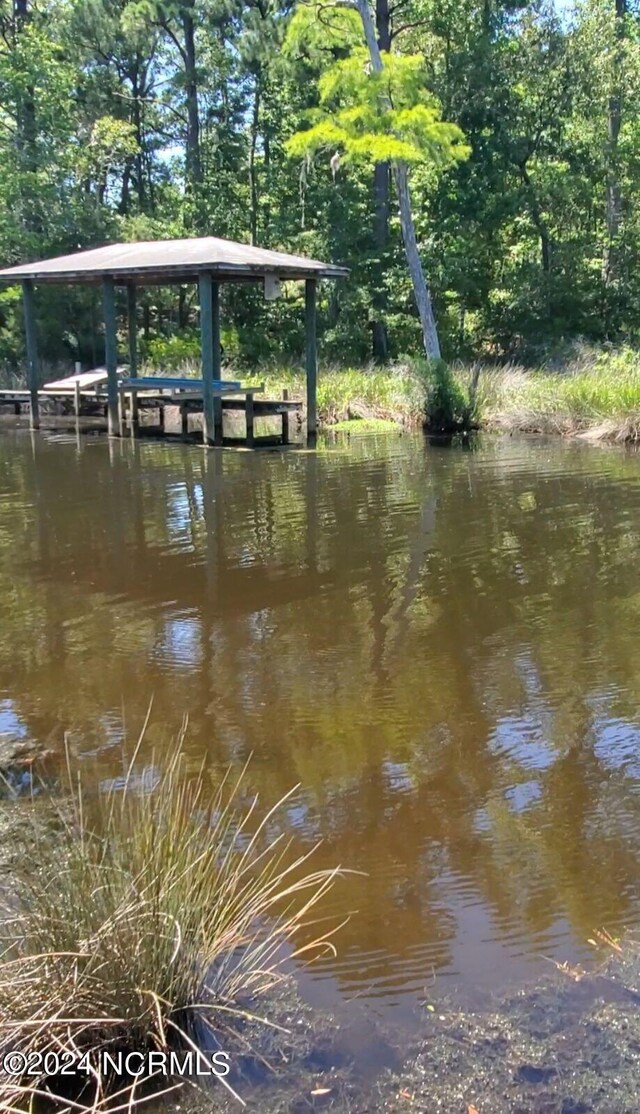 dock area featuring a water view