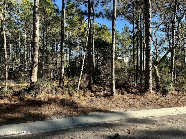 1528 St Vincent Dr SW Unit 220, Shallotte, NC 28470