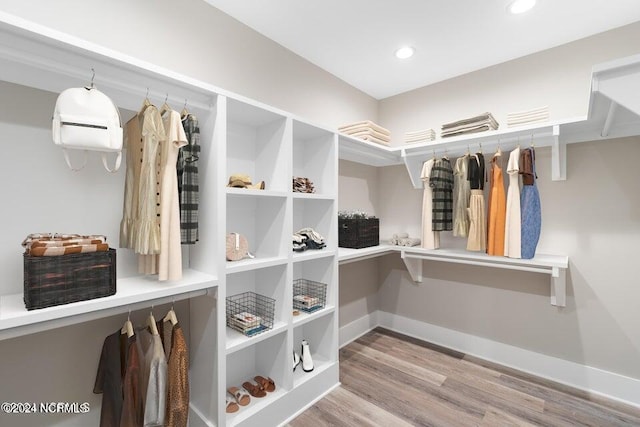 spacious closet featuring wood finished floors