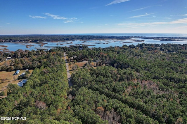 bird's eye view featuring a water view and a forest view