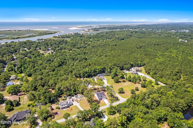 4039 Pintail Ave, Shallotte, NC 28470 - view of property location with a heavily wooded area and a nearby body of water