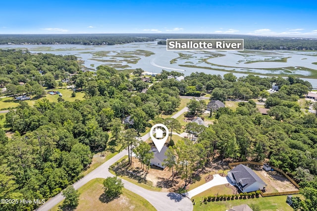 4039 Pintail Ave, Shallotte, NC 28470 - bird's eye view of a nearby body of water and a forest