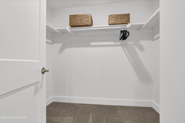 foyer entrance featuring dark hardwood / wood-style floors