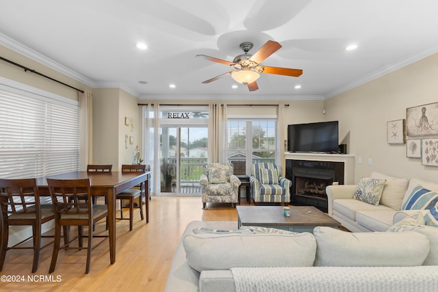 living room featuring ceiling fan, ornamental molding, and light hardwood / wood-style floors