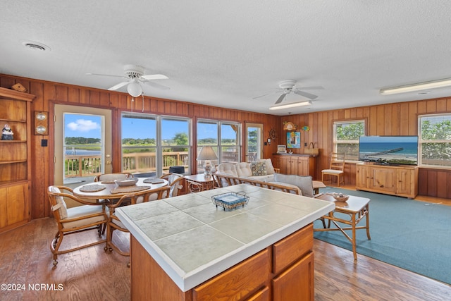 kitchen featuring a wealth of natural light, carpet floors, ceiling fan, and wooden walls