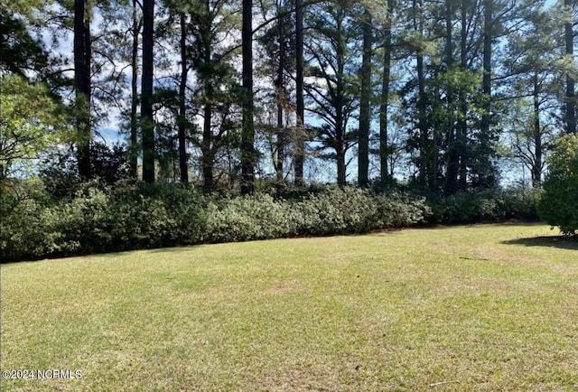 view of grassy yard