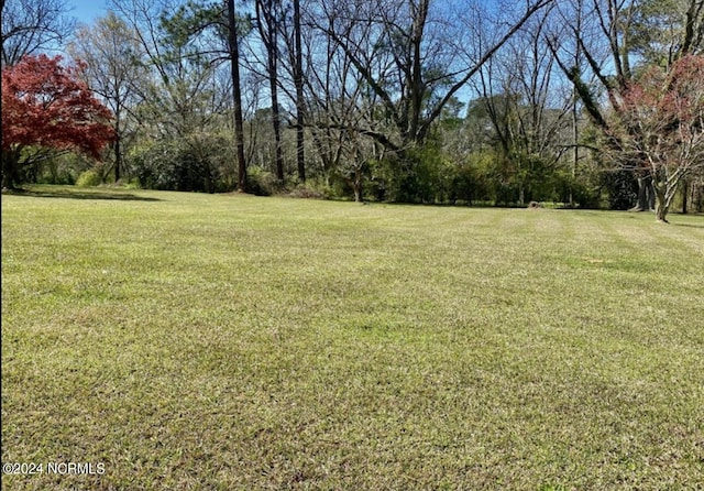 view of grassy yard