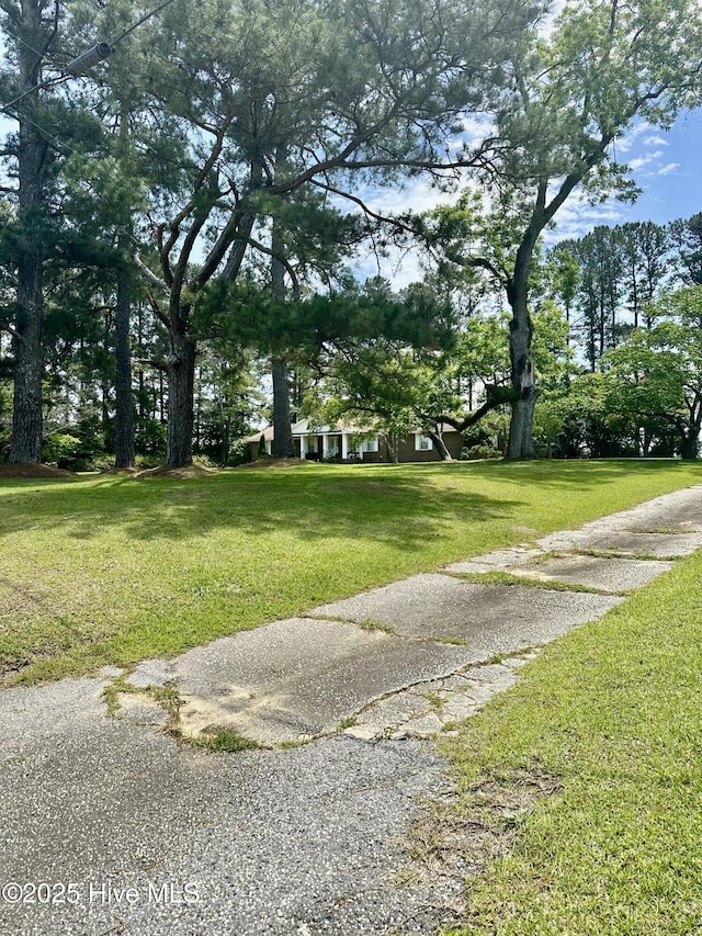 surrounding community with a yard