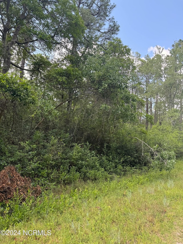 LOT83 Beech Rd, Boiling Spring Lakes NC, 28461 land for sale