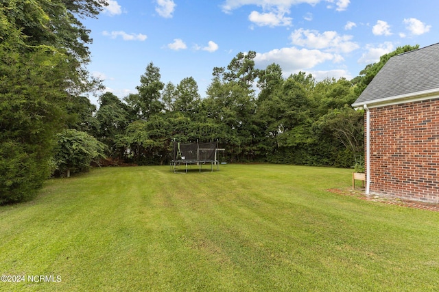 view of yard with a trampoline