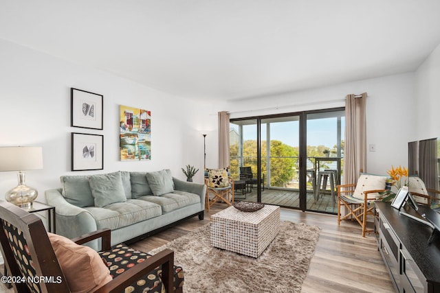 living room featuring light wood-style flooring