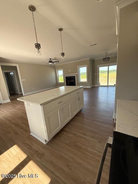 304 Old Swamp Rd, South Mills, NC 27976 - kitchen with open floor plan, a ceiling fan, white cabinetry, dark wood-style floors, and ornamental molding