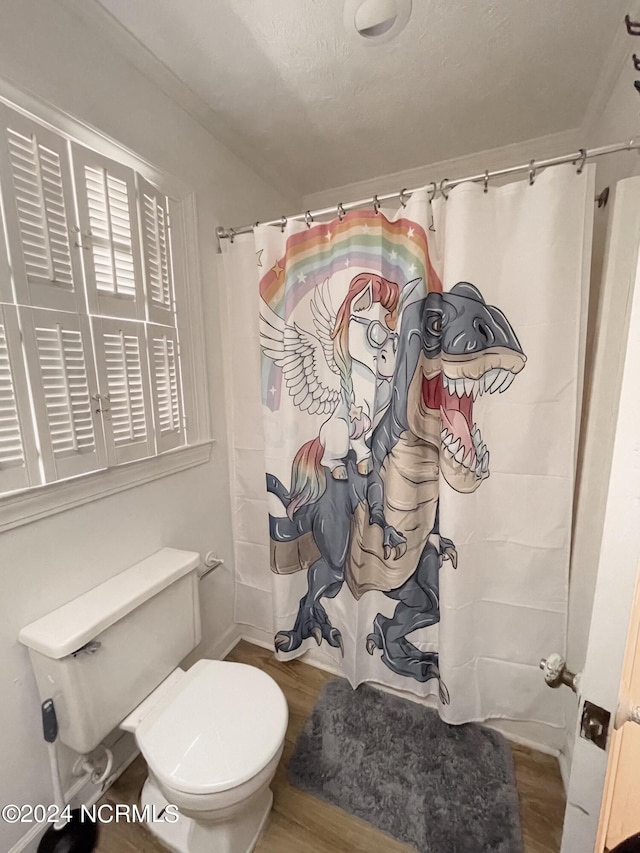 bathroom with toilet and wood-type flooring