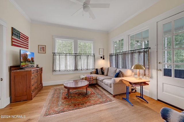 living room featuring ceiling fan, ornamental molding, and light hardwood / wood-style floors