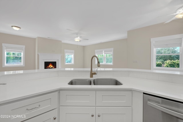 kitchen featuring dishwasher, white cabinetry, and a healthy amount of sunlight