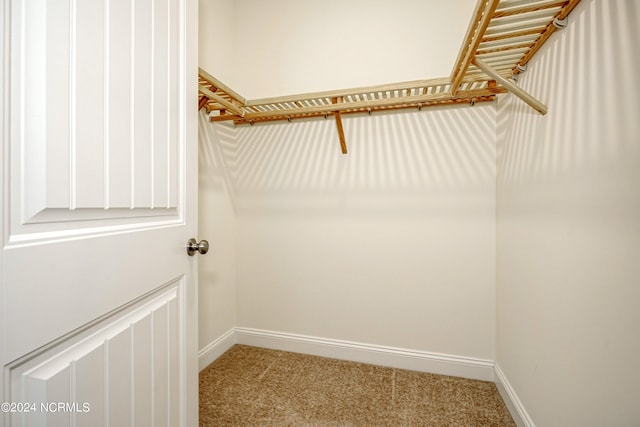 walk in closet with carpet flooring