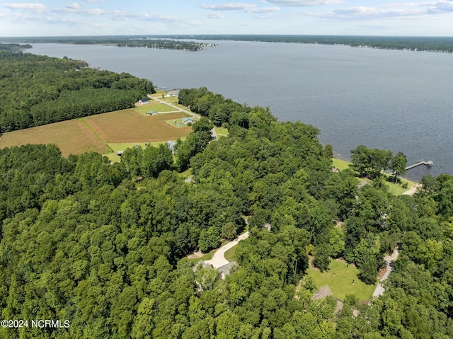 drone / aerial view featuring a water view and a view of trees