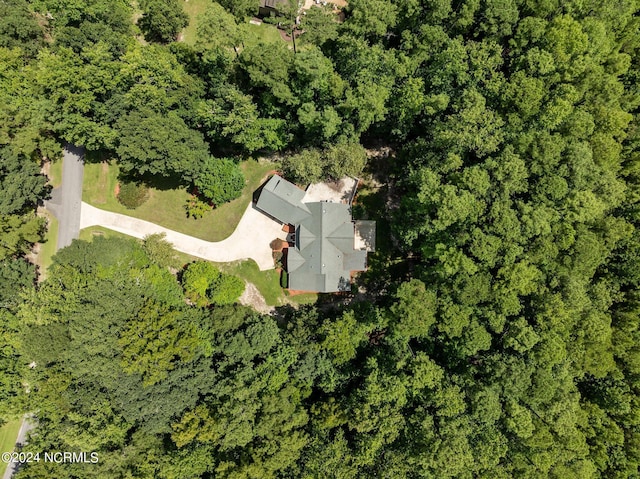 bird's eye view with a view of trees