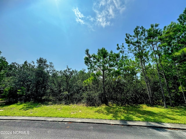 2975 Old Berwick St SW Unit 109, Shallotte NC, 28470 land for sale