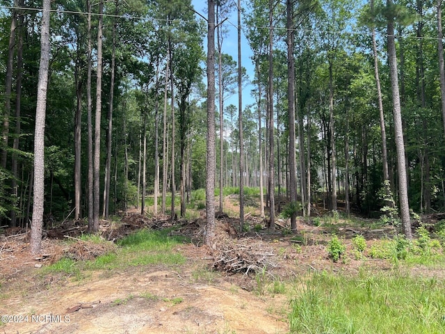 0 Sr 1119, Chocowinity NC, 27817 land for sale