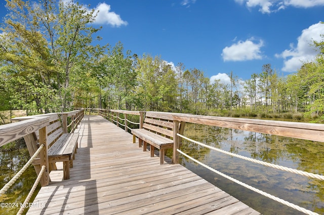 dock area with a water view