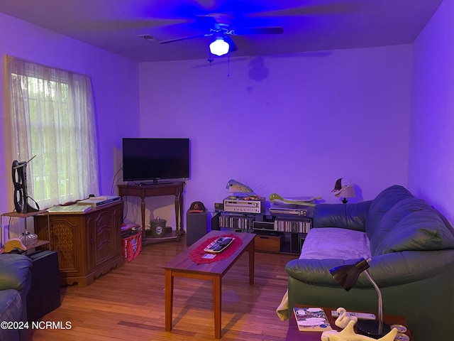 living room with ceiling fan and hardwood / wood-style floors