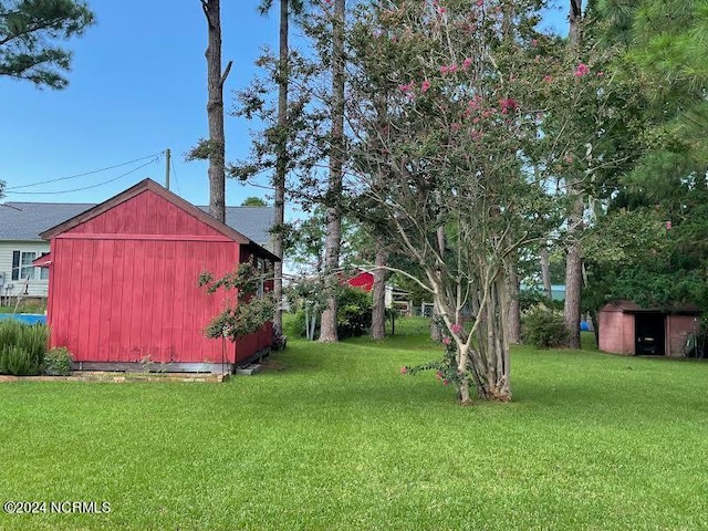 view of yard with a storage unit