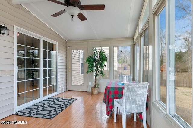 sunroom featuring ceiling fan and lofted ceiling