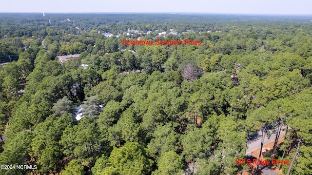 bird's eye view with a view of trees