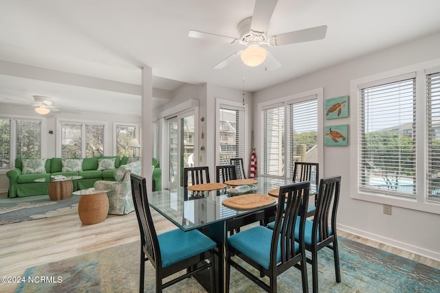 dining area featuring ceiling fan and hardwood / wood-style floors