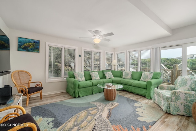 living room with ceiling fan and light hardwood / wood-style floors