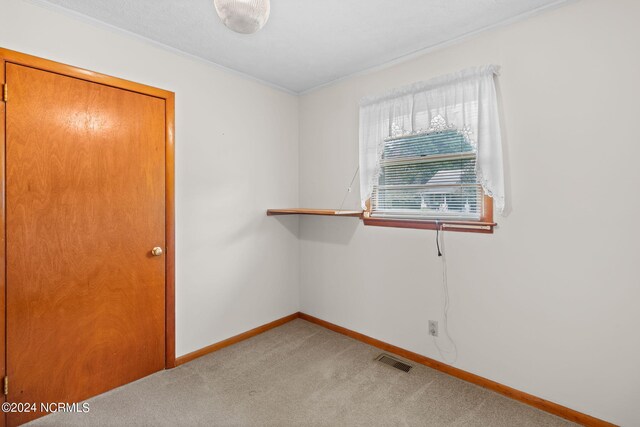 empty room with carpet and crown molding