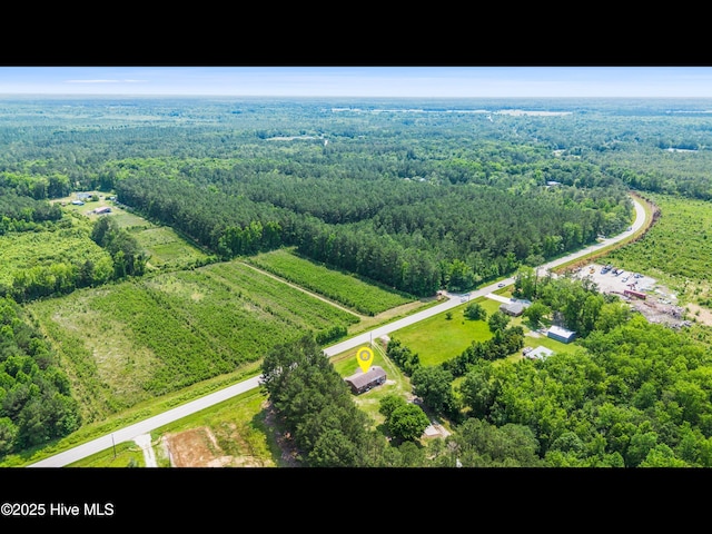 9348 NC Highway 210, Rocky Point, NC 28457 - drone / aerial view of a forest