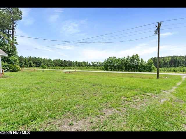 9348 NC Highway 210, Rocky Point, NC 28457 - view of grassy yard featuring a rural view and a view of trees