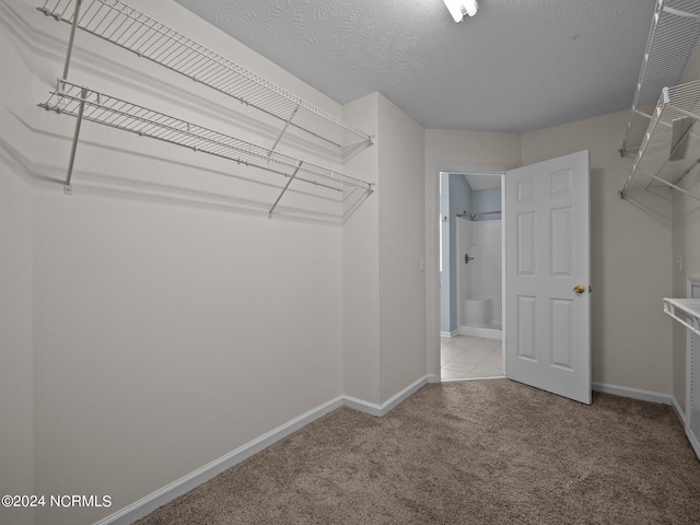 spacious closet featuring light colored carpet